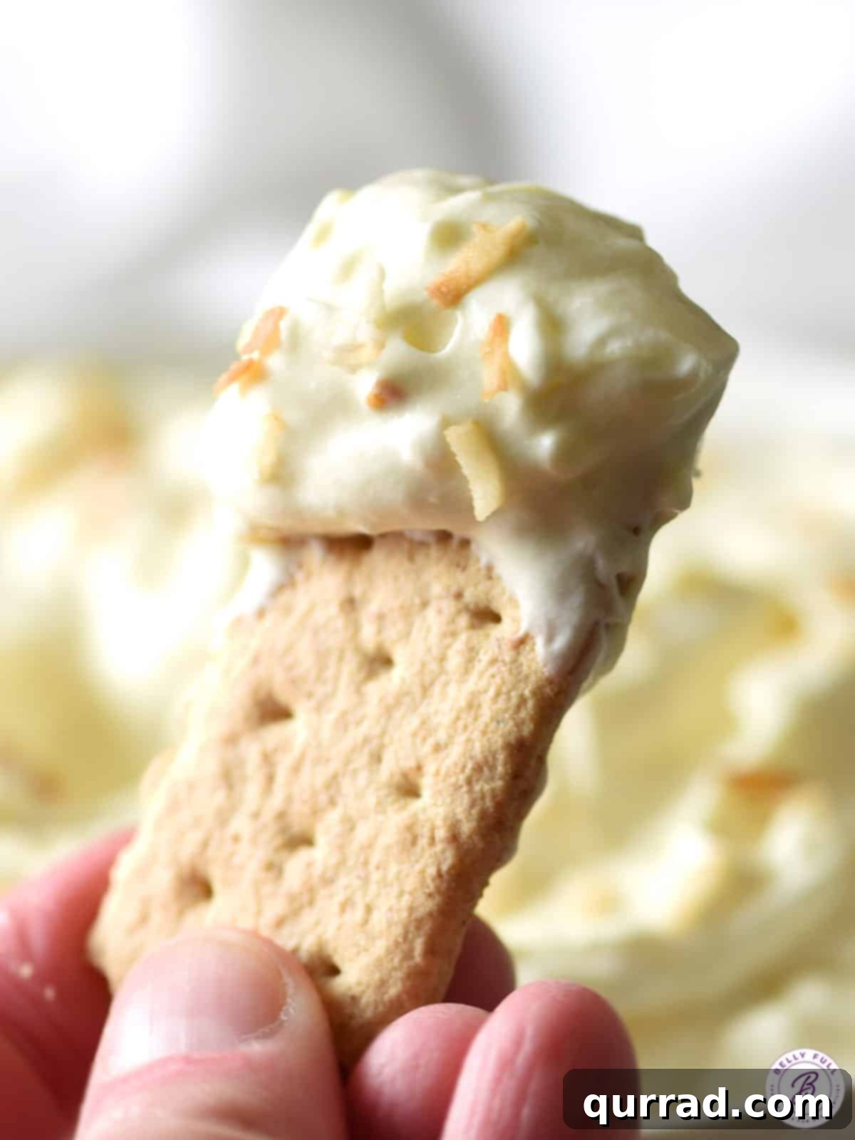 Creamy Coconut Dream Dip 3 A close-up of creamy coconut dip on a graham cracker, showing its smooth texture and flecks of coconut.