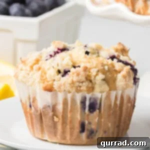 Simple Blueberry Perfection 3 Delicious freshly baked blueberry muffins with a crumbly streusel topping, showcasing their golden tops.