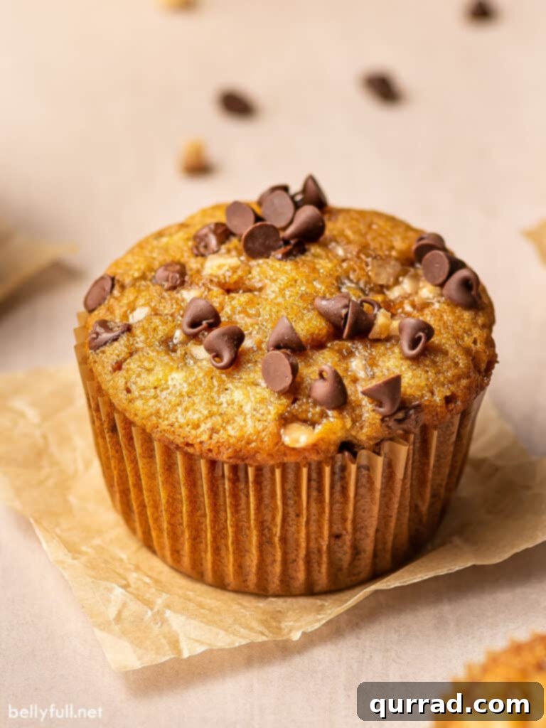Morning Banana Bliss 2 close up banana bread muffin topped with chocolate chips