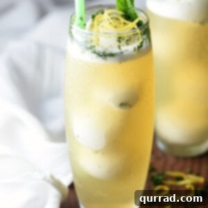 You are only a few ingredients away from the best summer drink! This Lemon Peach Fizz is sweet, simple, refreshing, and absolutely delicious. Great for parties, weddings, or after dinner!
