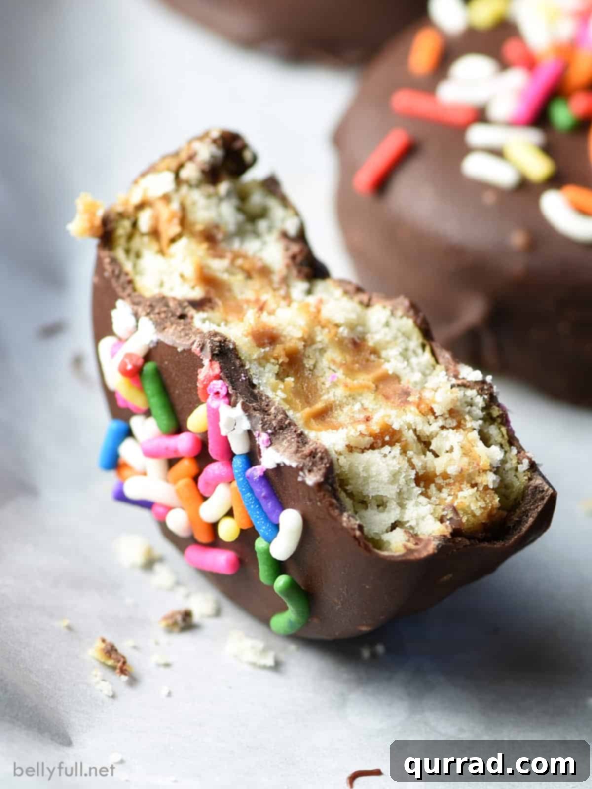 close up double decker ritz cracker cookie standing up with bite taken