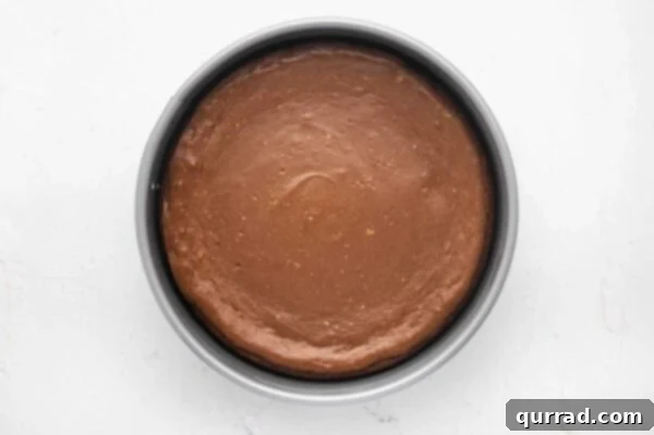 overhead baked chocolate cheesecake in springform pan