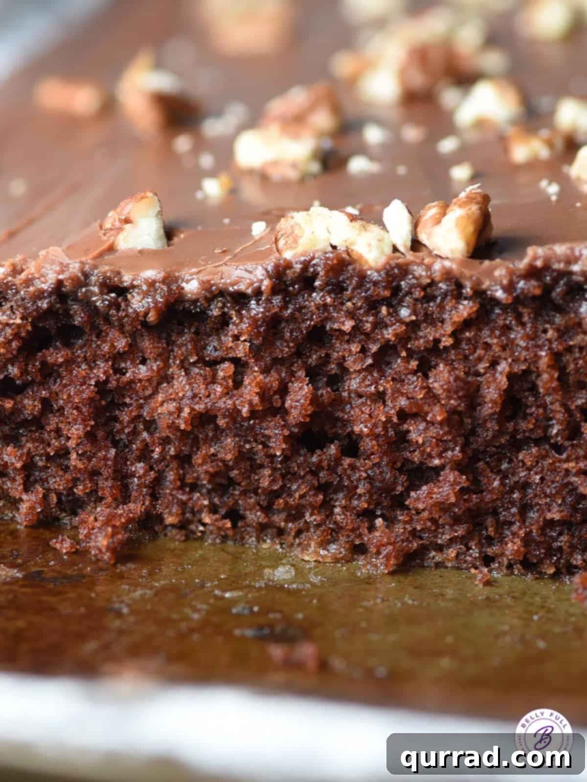 Experience the delightful texture of the best Texas Sheet Cake: a rich, fudgy, moist chocolate cake made with buttermilk, ready for its warm chocolate icing and toasted pecans. Pure heaven in every bite! A close-up view of the incredibly moist and rich chocolate crumb of a freshly baked Texas Sheet Cake before frosting.