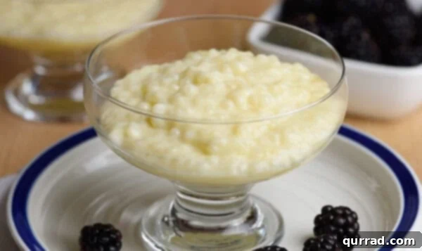 A serving of homemade tapioca pudding presented in a elegant dessert cup, ready to be savored.