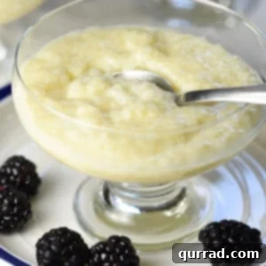 Delicious tapioca pudding with a spoon in a glass dessert cup, ready to be enjoyed.