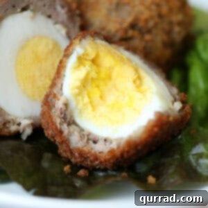 Scotch egg sliced in half, showing a firm yolk and crispy coating