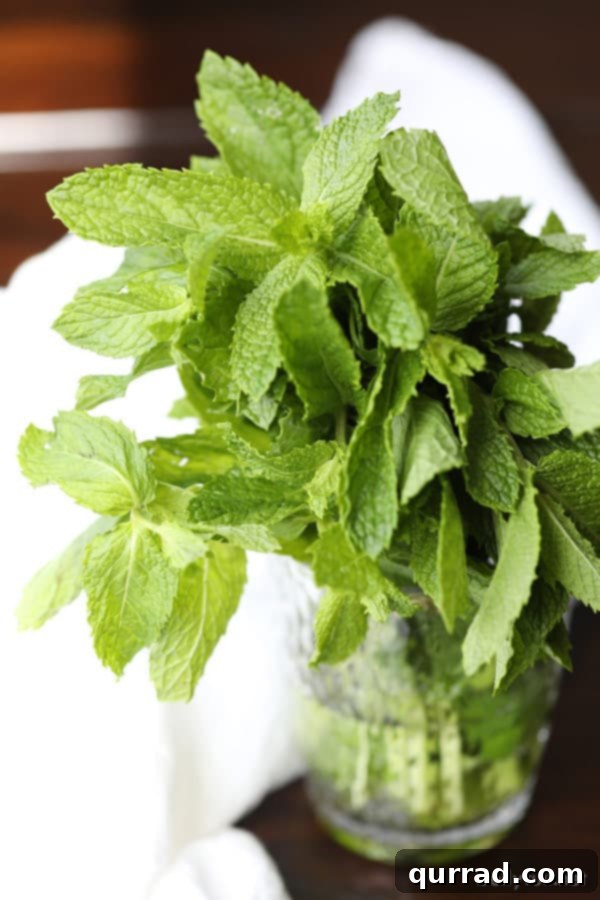 Image related to gardening, possibly showing herbs
