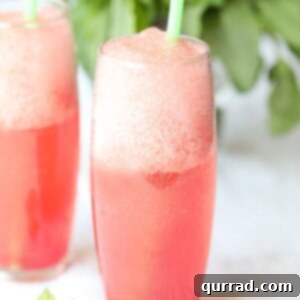 Watermelon-Mint Soda recipe image