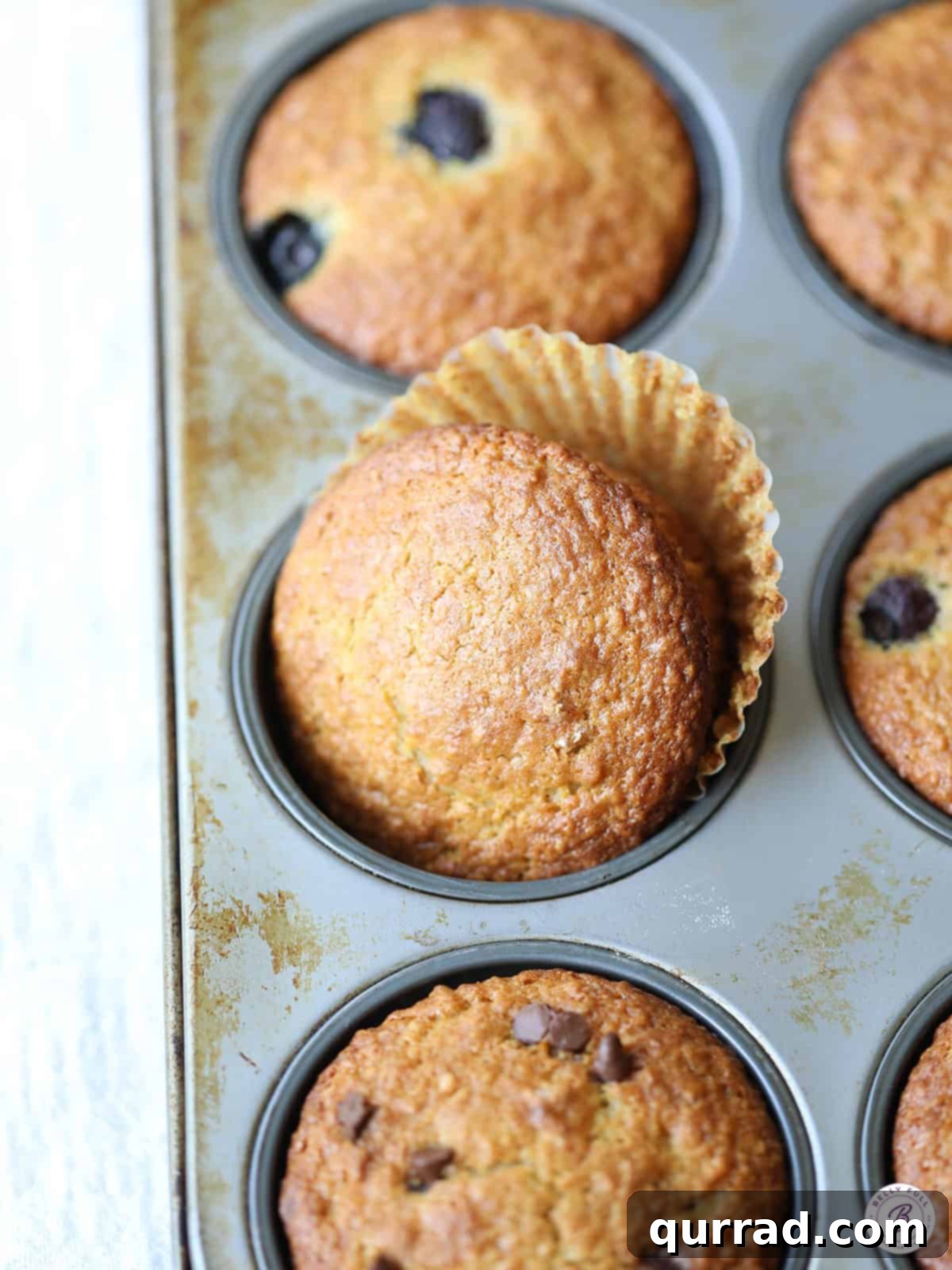 A close-up of a warm, golden-brown bran muffin in a baking tin, highlighting its wholesome texture.