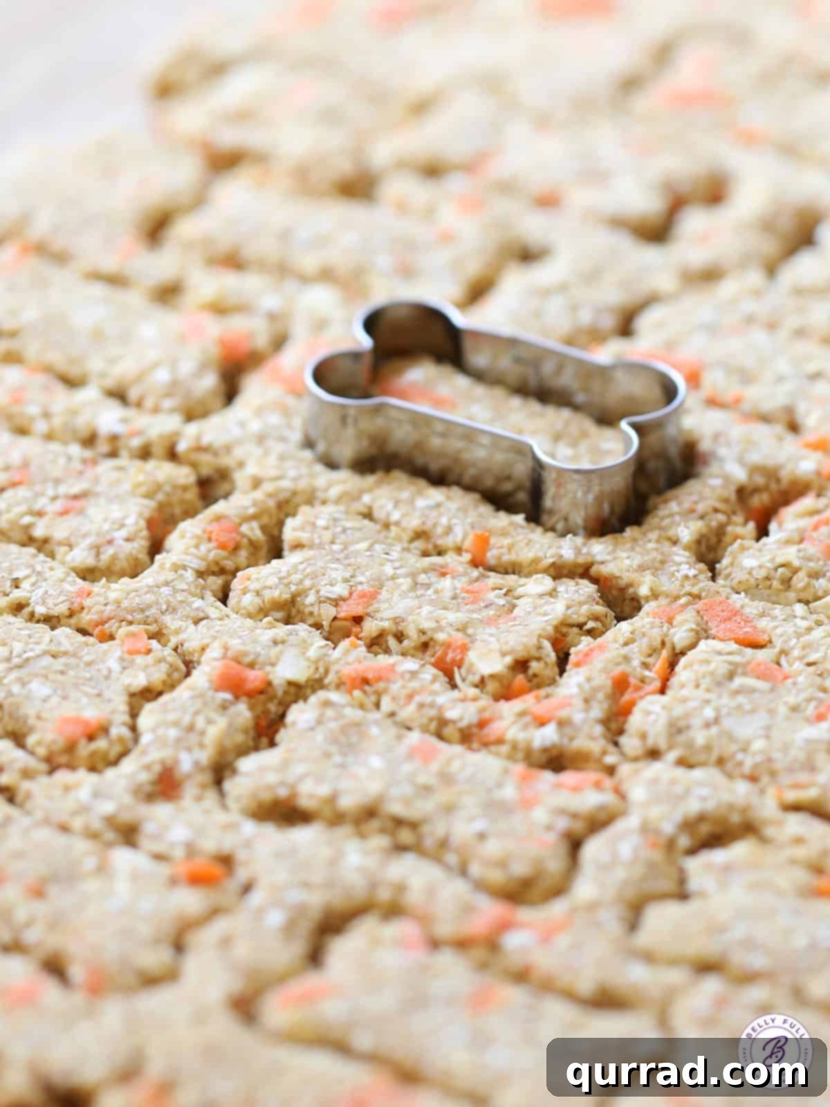 Paw-some Carrot Cake Treats 3 Close-up of a small dog bone cookie cutter pressing into raw carrot cake dog treat dough on a floured surface.