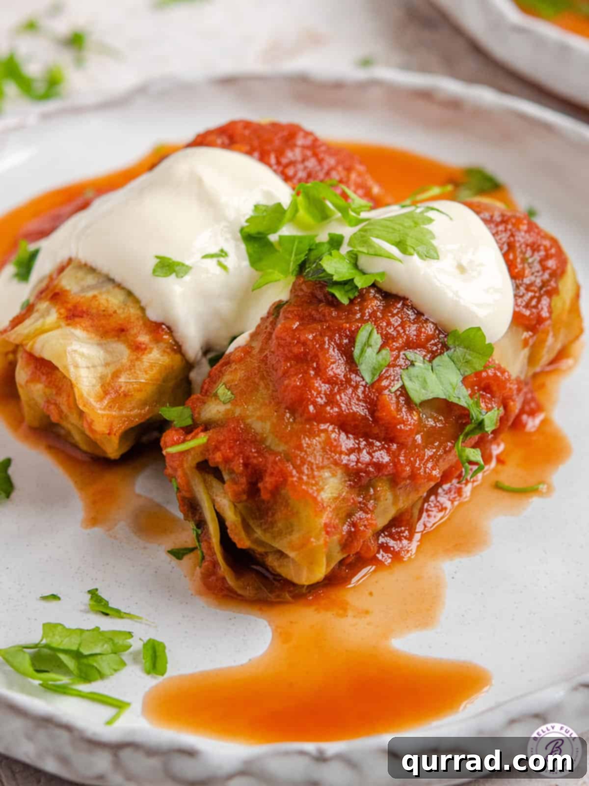 Classic Stuffed Cabbage Rolls: Beef & Rice in Tangy Tomato Sauce Two beautifully arranged stuffed cabbage rolls on a white plate, generously adorned with a rich, tangy tomato sauce and a dollop of creamy sour cream, garnished with fresh parsley.