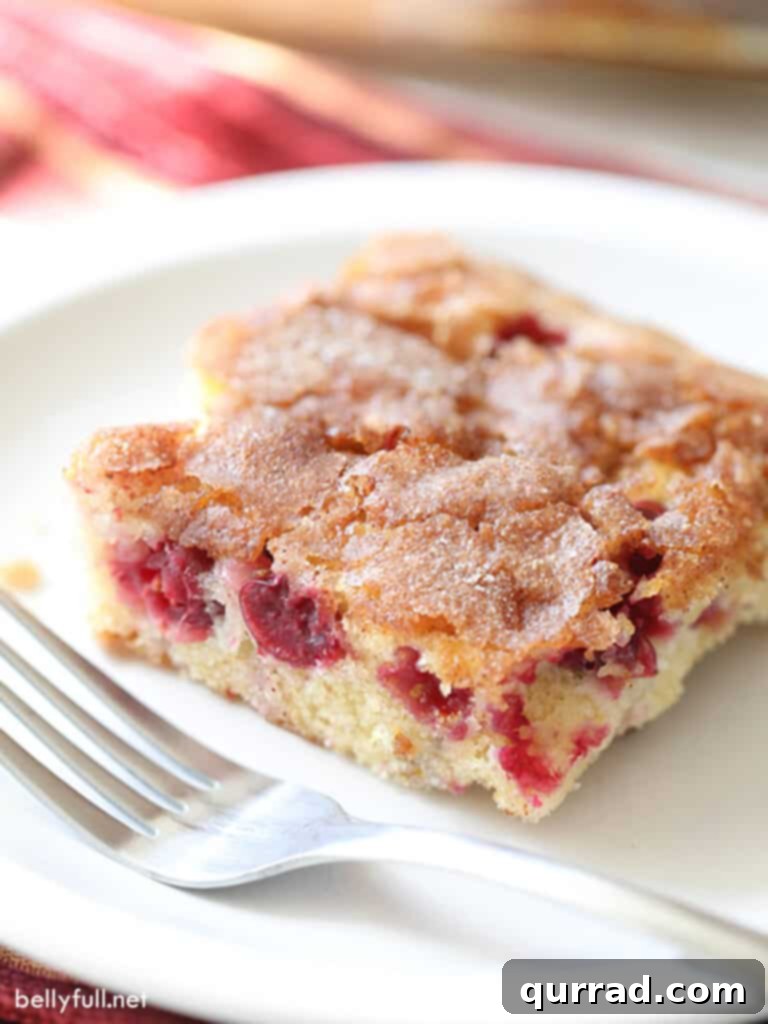 A beautifully presented square slice of Cranberry Christmas Cake on a pristine white plate, accompanied by a fork. The image clearly showcases the cake's tender crumb, the vibrant red cranberries distributed throughout, and the inviting golden, crackled cinnamon-sugar topping.