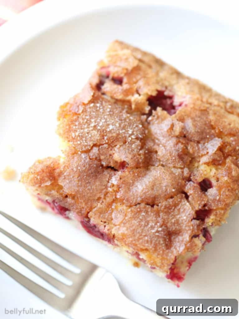 An inviting overhead view of a slice of cranberry coffee cake, showcasing the beautiful distribution of vibrant cranberries and the perfectly golden, crackled cinnamon topping.