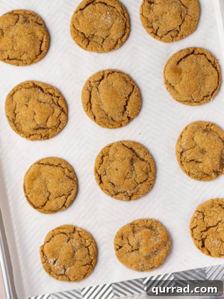 Spiced Molasses Chews 3 12 cookies on parchment paper lined baking sheet