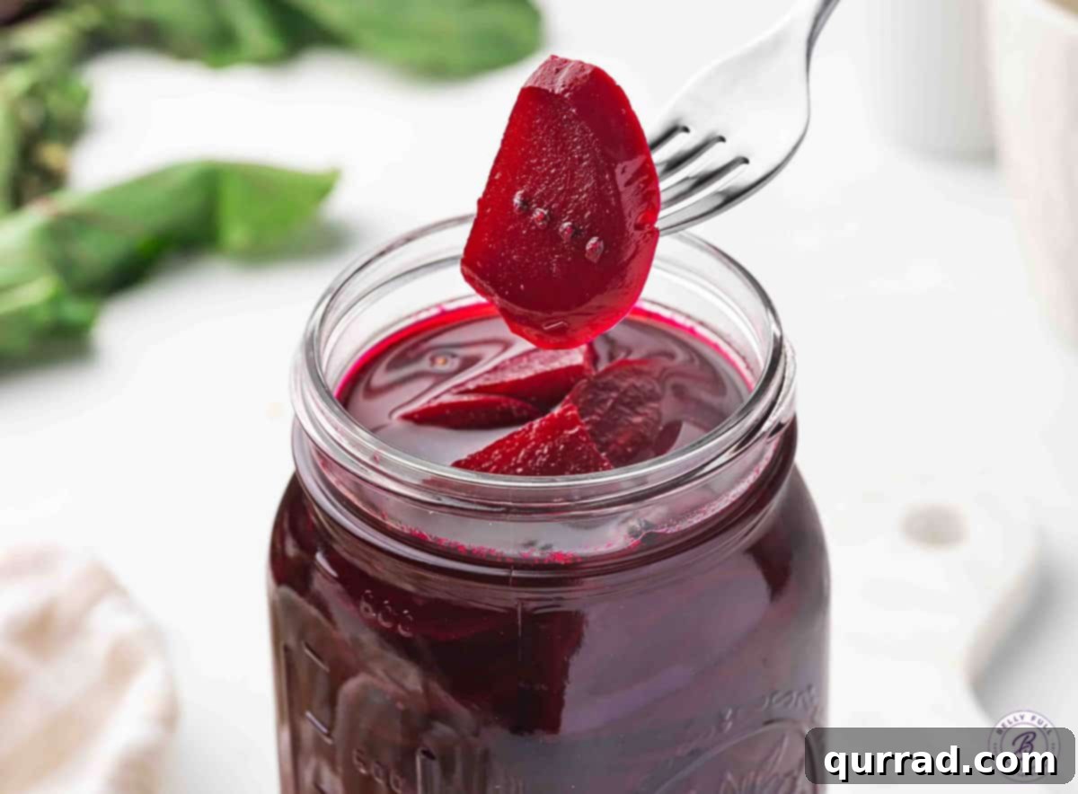 Zesty Brined Beetroot 10 Pickled beets on a fork over a jar, ready to be enjoyed