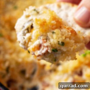 Loaded Cheesy Jalapeno Dip 6 Jalapeno Popper Dip served on a cracker
