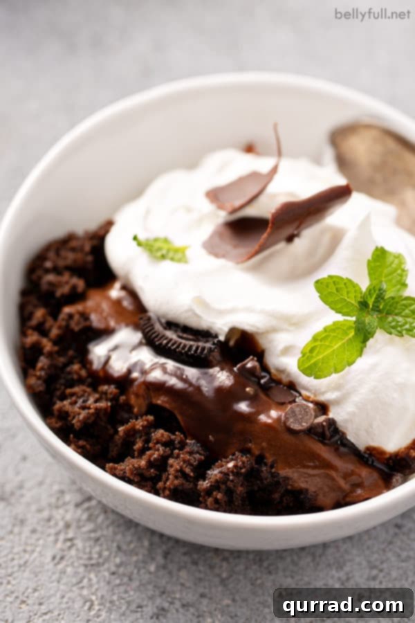 Sinful Chocolate Trifle 6 A perfectly portioned serving of Death By Chocolate Trifle in a white bowl, ready to enjoy.