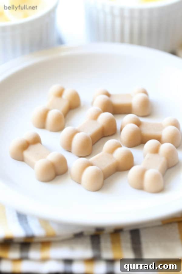 frozen bone shaped yogurt banana dog treats on white plate