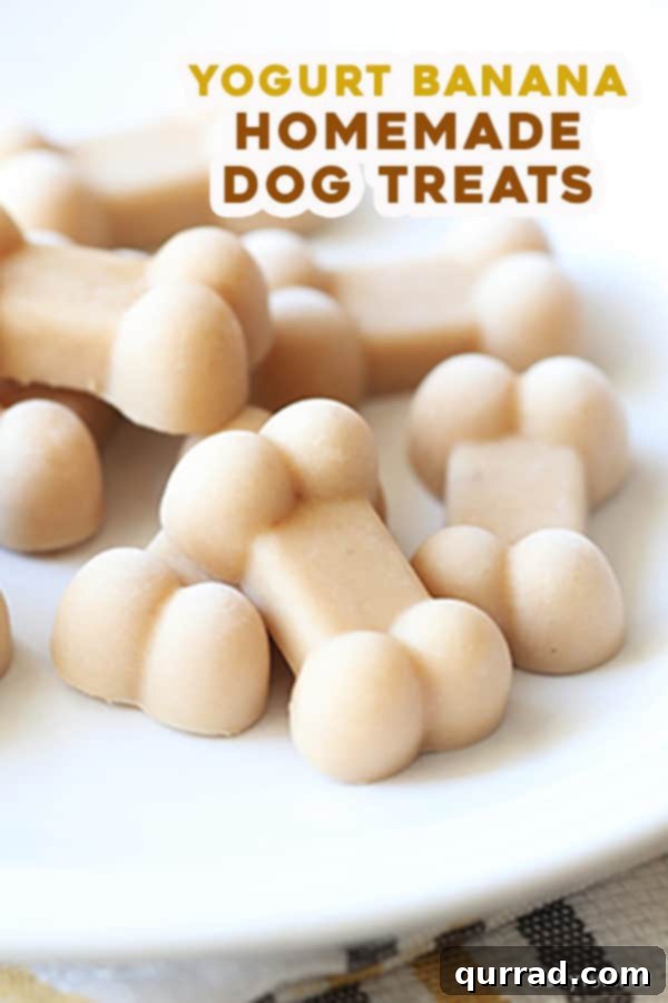 pin for homemade frozen yogurt banana dog treats