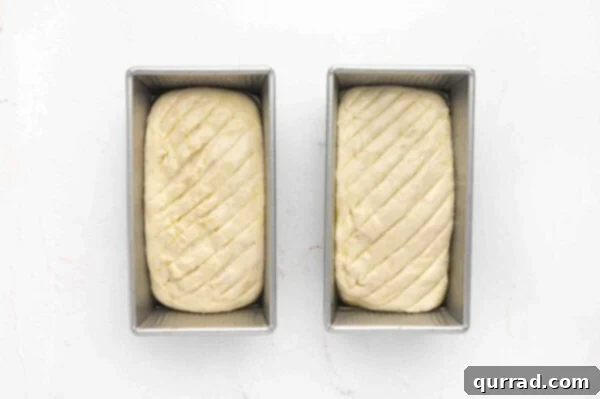 uncooked sandwich bread dough loaves with slits in top in loaf pans