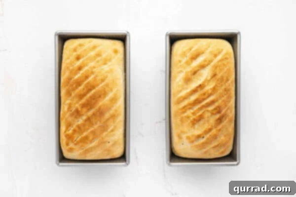two baked sandwich bread loaves in loaf pans