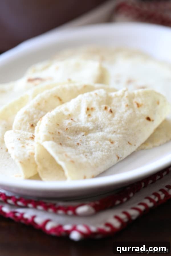 Crafting Perfect Corn Tortillas at Home 7 folded homemade corn tortilla on white plate