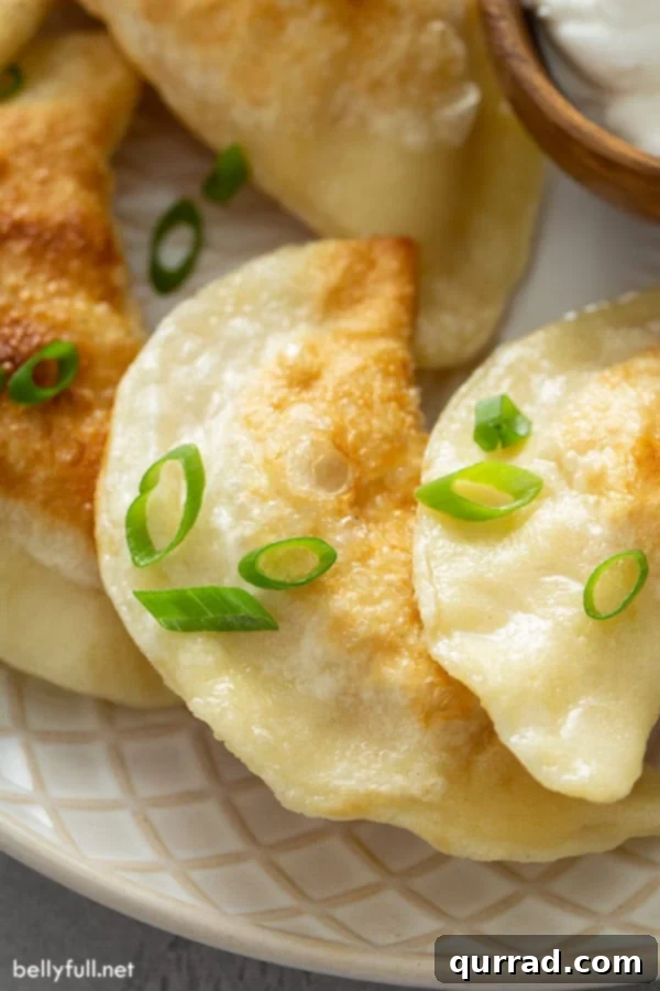 Ultimate Homemade Pierogi Video Guide 2 Close up picture of golden brown homemade pan-fried pierogi on a plate, ready to be served.