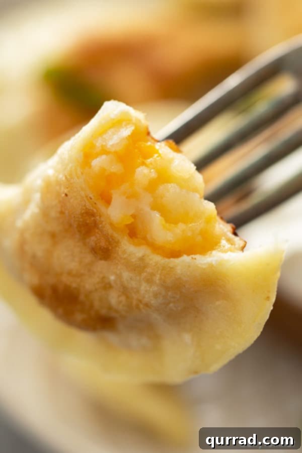 Ultimate Homemade Pierogi Video Guide 7 Close up picture of a potato and cheese pierogi cut in half on a fork, showing the creamy filling and tender dough texture.