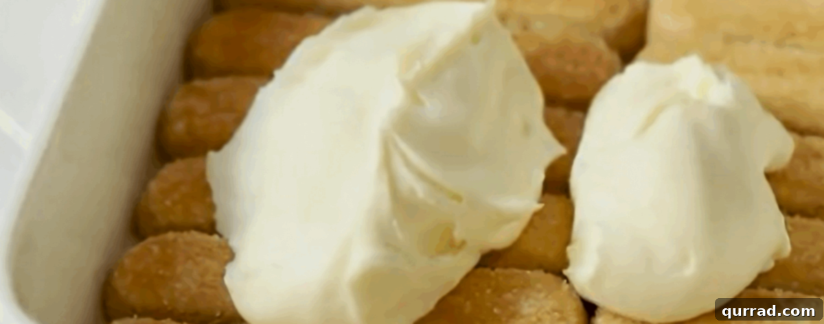 Layering ladyfingers with cheese mixture. 