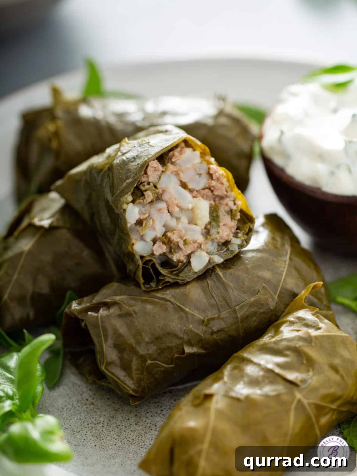 Grape Leaf Dolma 2 Close up image of perfectly rolled homemade Dolma, cut in half to reveal the savory rice and meat filling