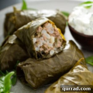 close up Dolma cut in half