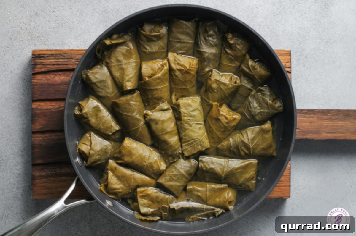 Grape Leaf Dolma 4 Overhead shot of a pan filled with neatly arranged, cooked Dolma, ready to be served
