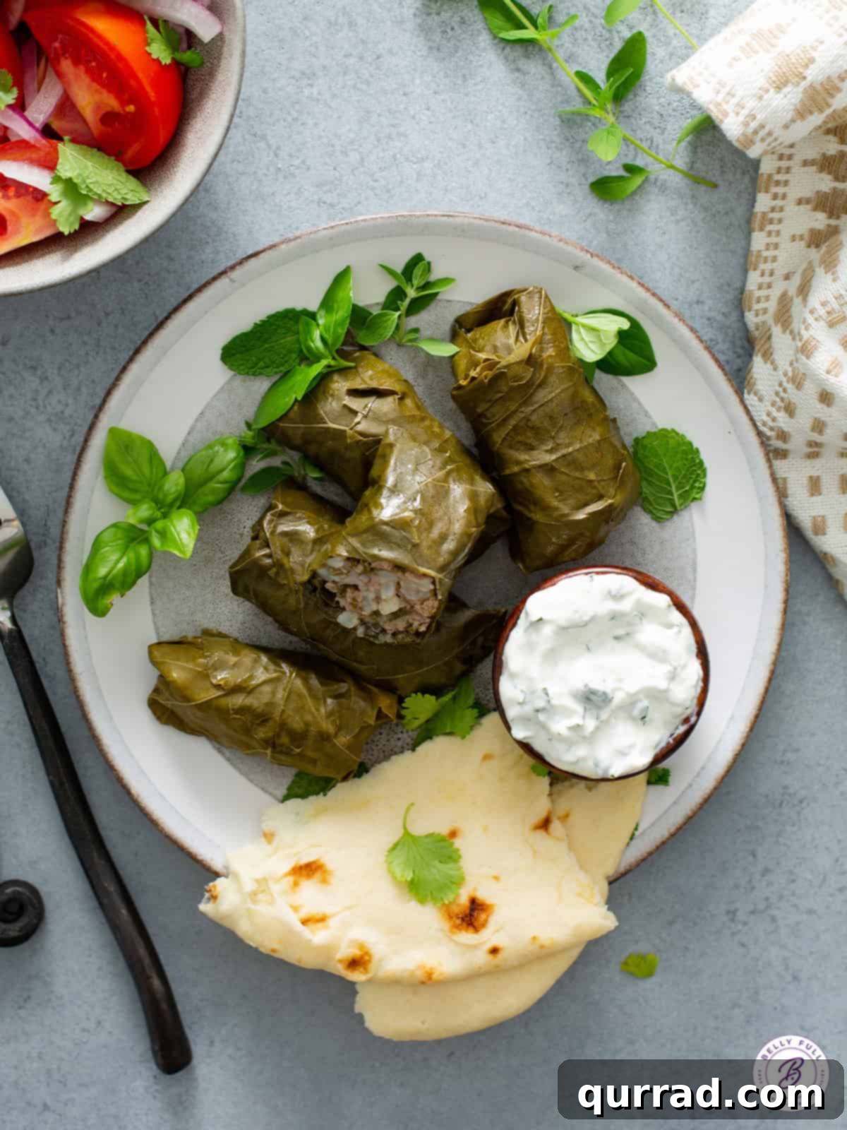 Grape Leaf Dolma 5 Overhead view of a plated serving of Dolma, accompanied by creamy Tzatziki sauce and fluffy Naan bread, ready for a delicious meal