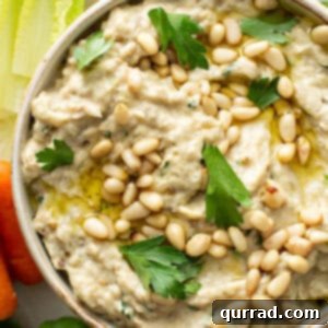 overhead of baba ganoush in dish with toasted pine nuts