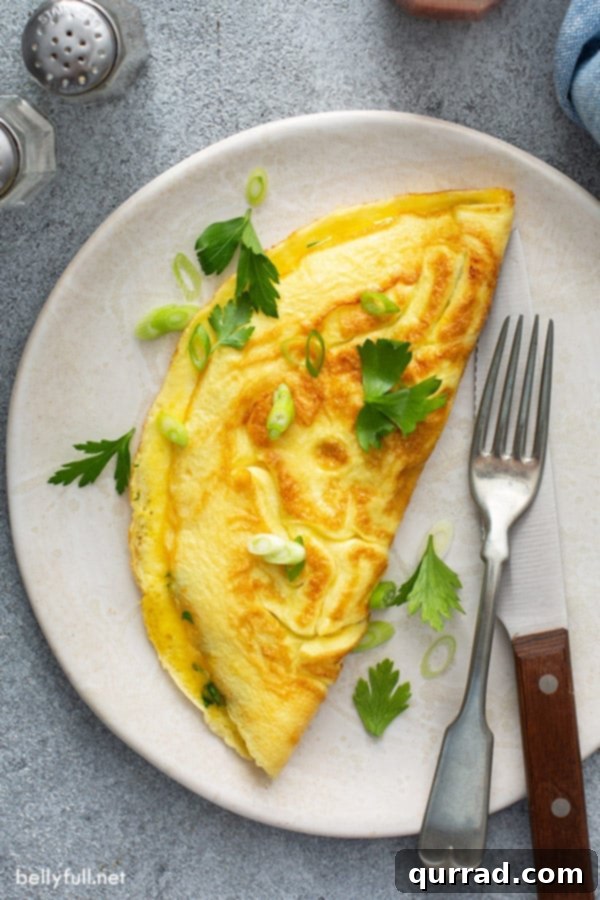 How to Make a Fluffy Cheese Omelette 4 Overhead picture of a glistening omelette on a plate, garnished with fresh herbs, alongside a fork and knife.