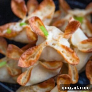 Close up Air Fryer Crab Rangoon ready to be served.
