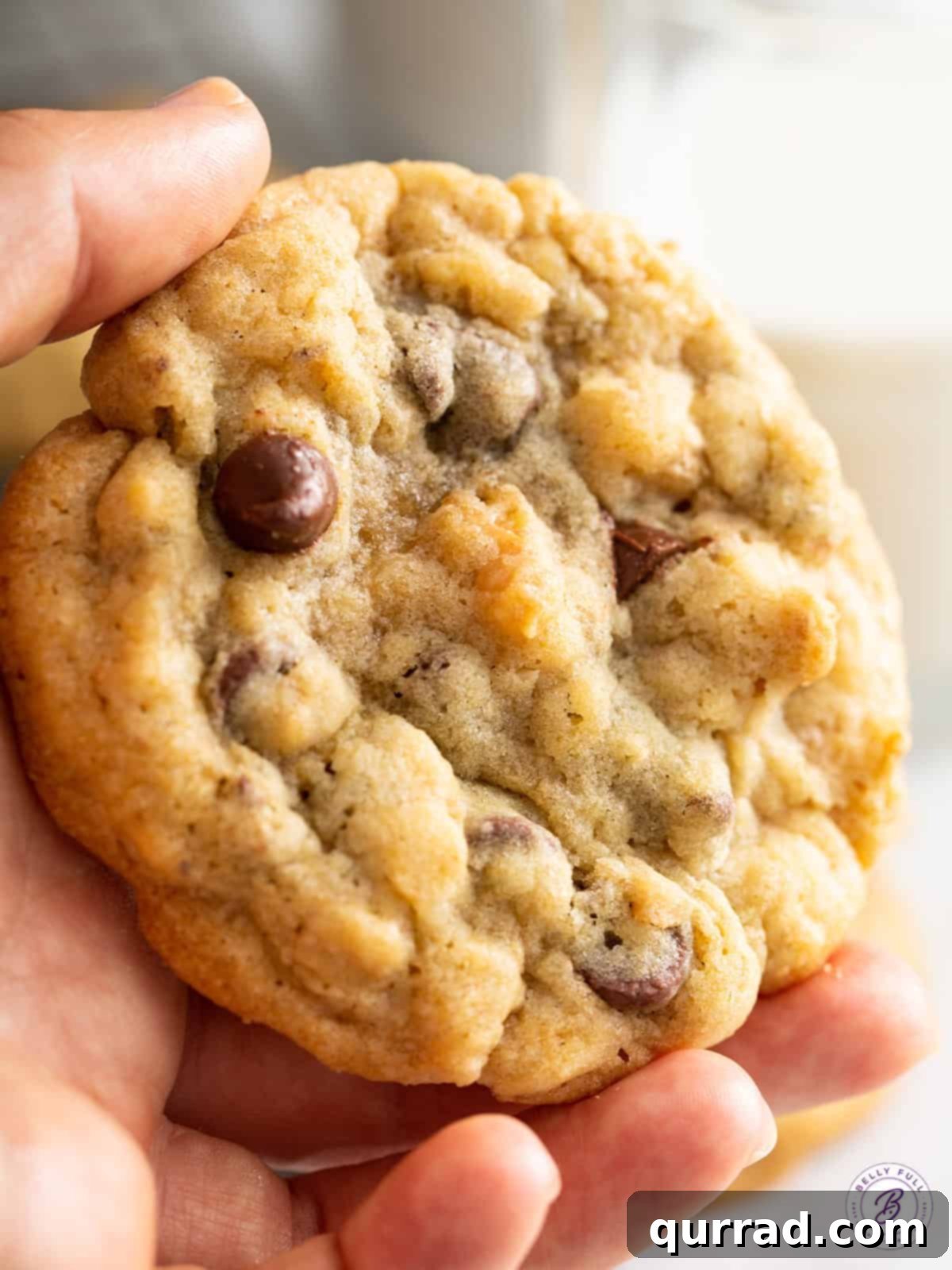 The Signature Hotel Treat 9 A close-up shot of a hand holding a freshly baked DoubleTree Cookie, emphasizing its rich, golden-brown appearance and inviting texture.