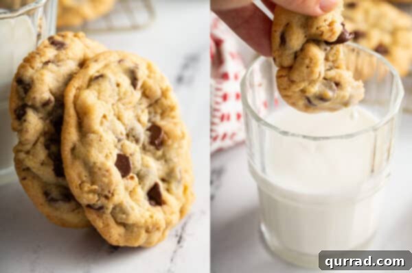 chocolate chip cookies being dunked in milk