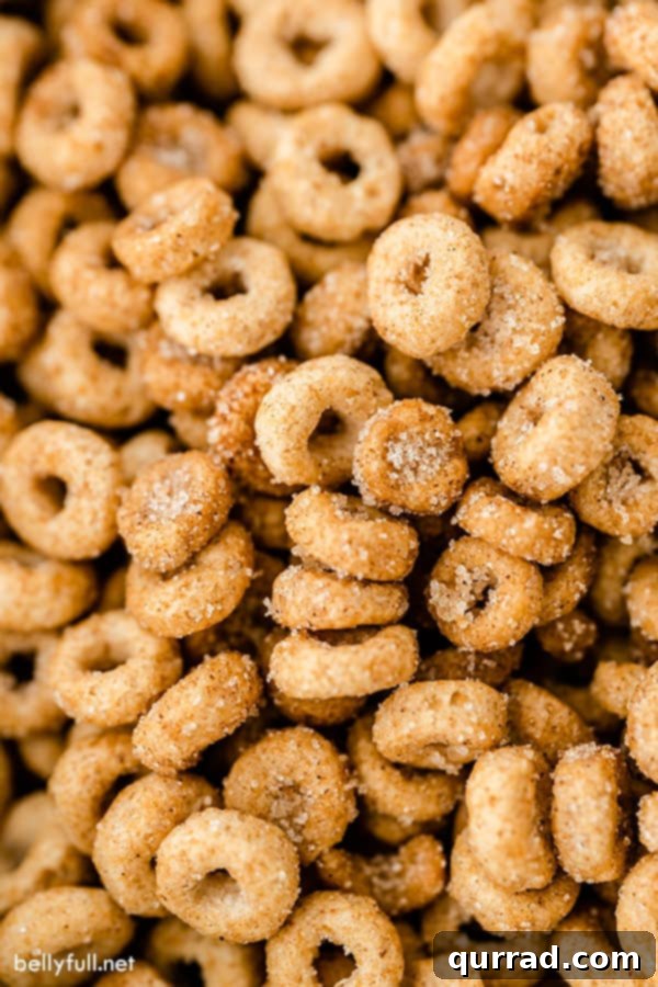 Hot Buttered Doughnut O's 5 close up of hot buttered cheerios