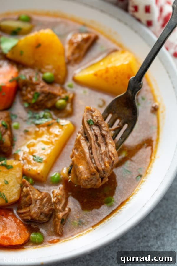 Close-up of a tender chunk of cooked beef in rich gravy on a fork, ready to eat.