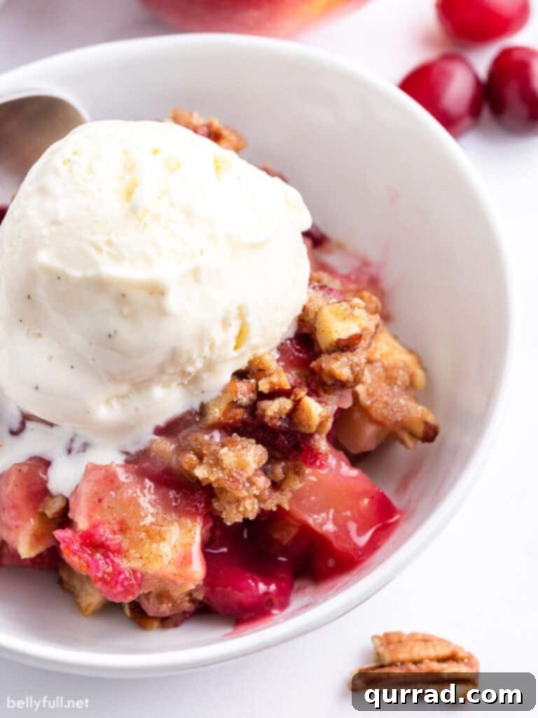 A serving of warm apple cranberry crisp in a bowl, topped with a scoop of melting vanilla ice cream, showcasing the rich, bubbly fruit filling and golden, crunchy crumble.