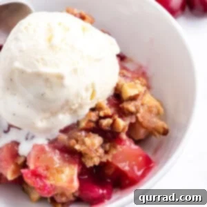 Close-up of apple cranberry crisp with a scoop of vanilla ice cream