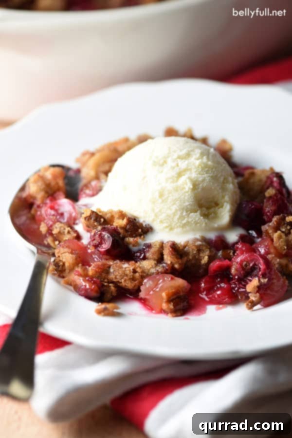 A warm, golden-brown apple cranberry crisp, topped with a scoop of melting vanilla ice cream, served in a rustic bowl.