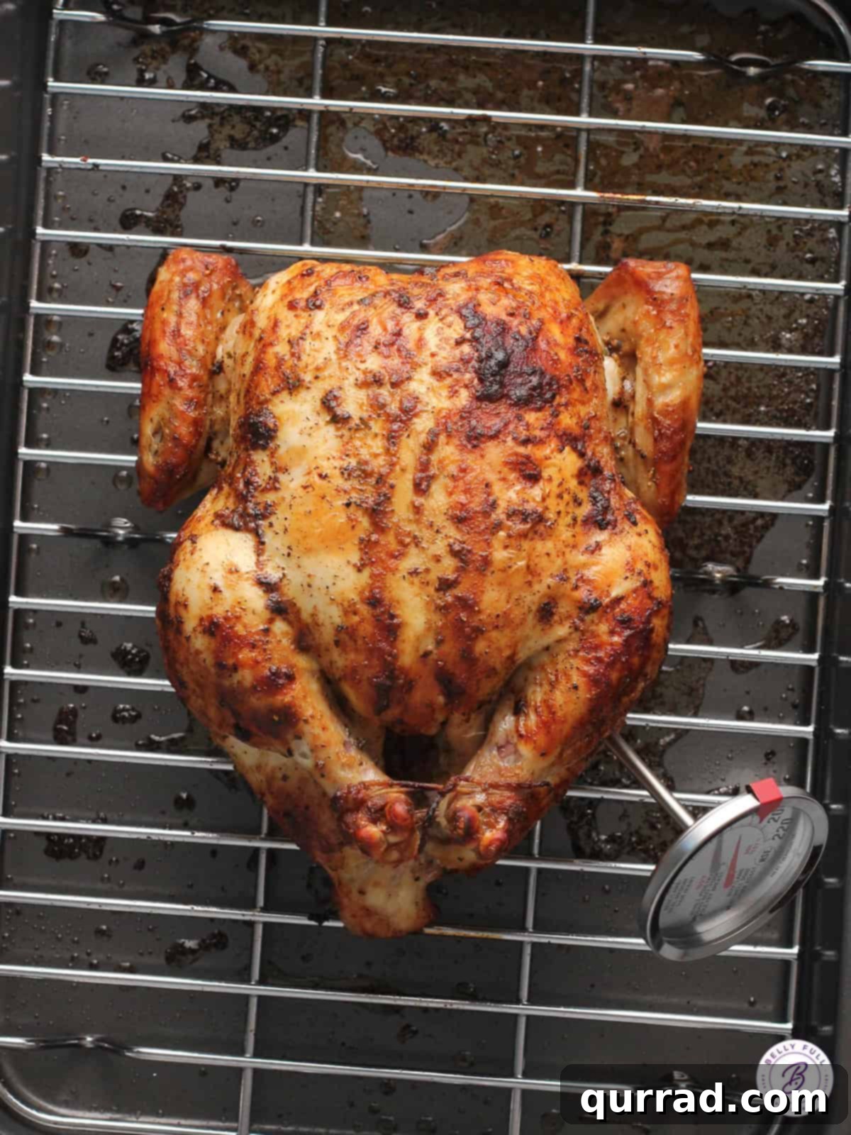 whole roasted fryer chicken on wire rack with thermometer