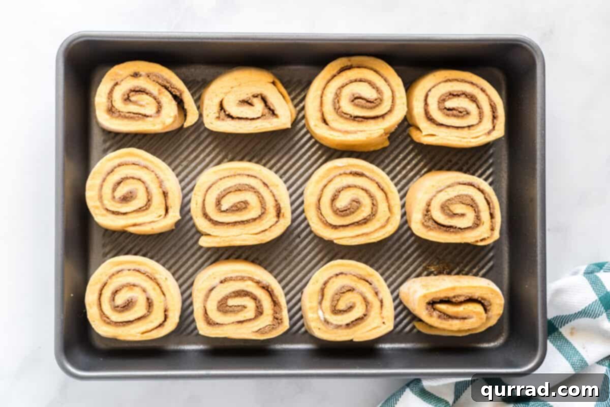 Autumn Spice Pumpkin Rolls 8 A tray showing 12 perfectly rolled pumpkin cinnamon rolls, unbaked and ready for their second proofing.