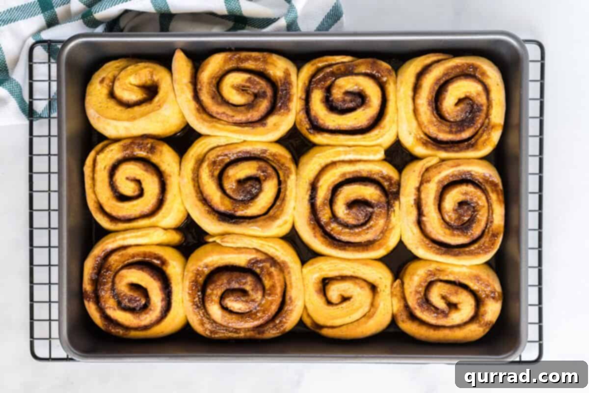 Autumn Spice Pumpkin Rolls 9 A pan of golden brown, freshly baked pumpkin cinnamon rolls, hot out of the oven.