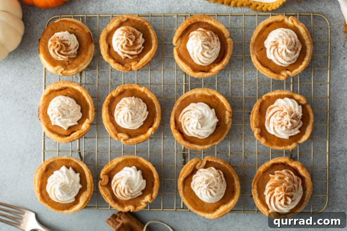 Bite-sized Pumpkin Delights 9 Baked mini pumpkin pies on a wire rack, some topped with whipped cream.