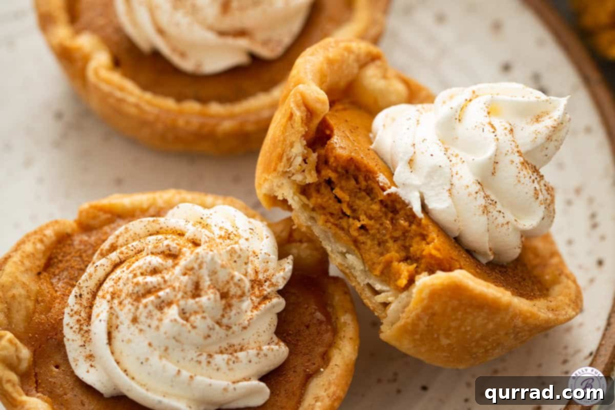 Bite-sized Pumpkin Delights 10 A single mini pumpkin pie with a bite taken out, showing the creamy filling and flaky crust.
