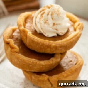 Bite-sized Pumpkin Delights 3 Mini Pumpkin Pies, perfectly baked and ready for serving.