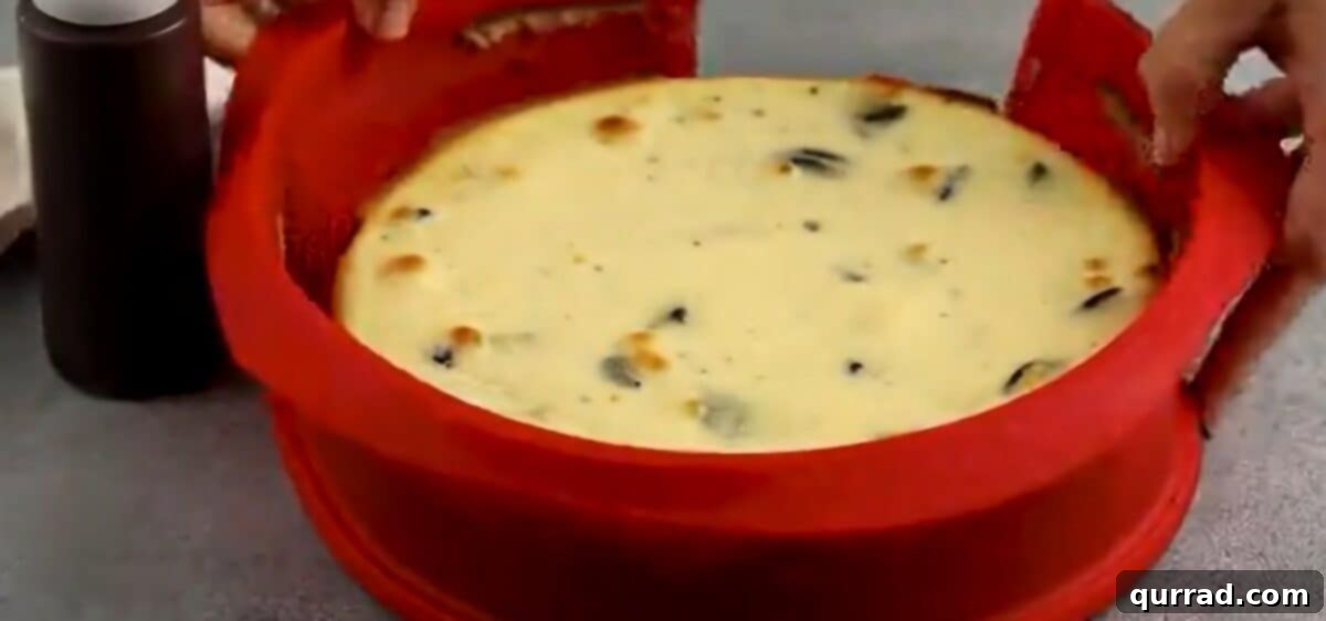 Decadent Oreo Cheesecake 9 Carefully taking the chilled Oreo cheesecake out of the springform pan.